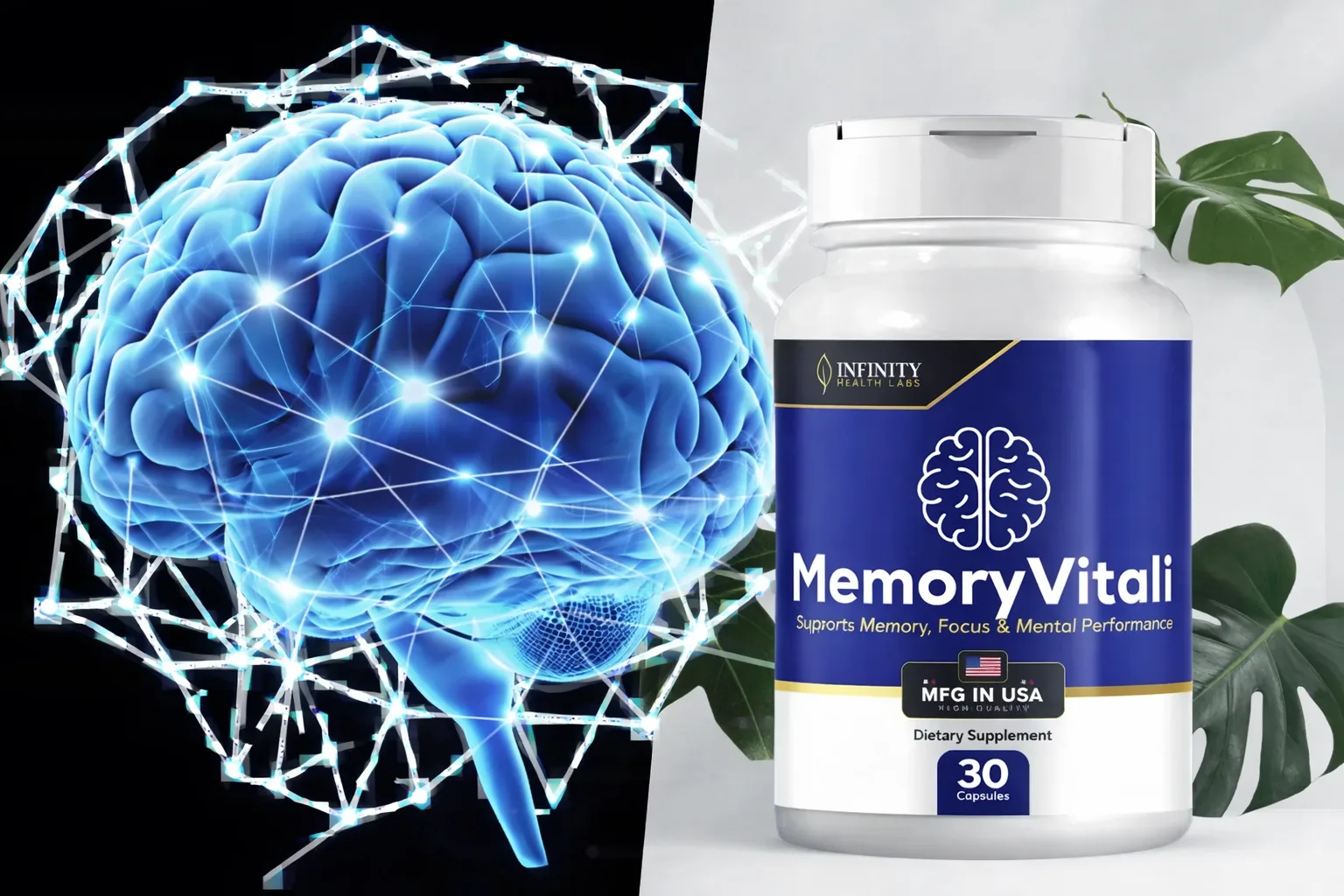Memory Vitali Natural Brain Support Supplement